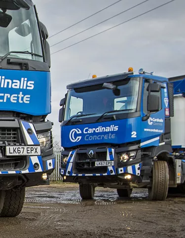 Cardinals Concrete cropped2