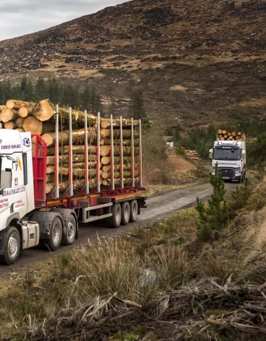 WD & A Haley cropped