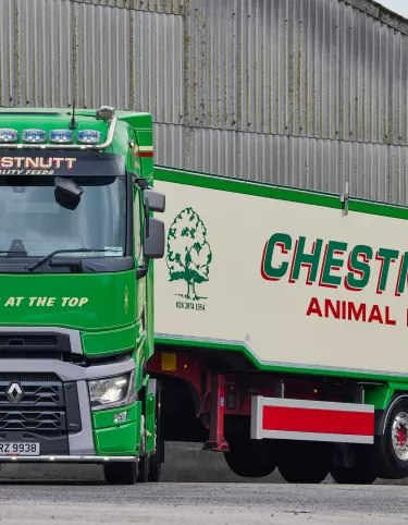 T H RANGE CHESTNUTT 1